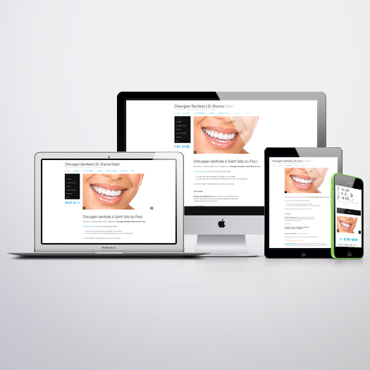 webmaster chantal delor